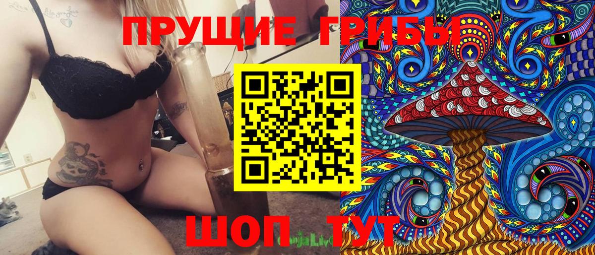 Галлюциногенные грибы Magic Shrooms  купить наркотики сайты  Качканар  Вход с VPN 
